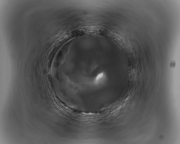 X0000099290913200805021228