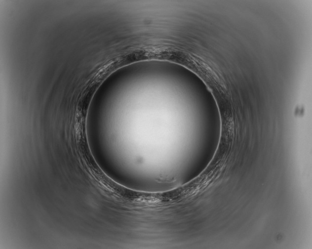 X0000099290914200805021228
