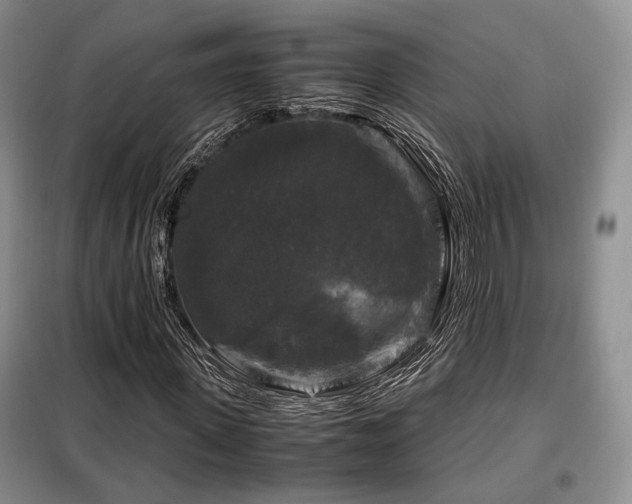X0000099290915200805021228