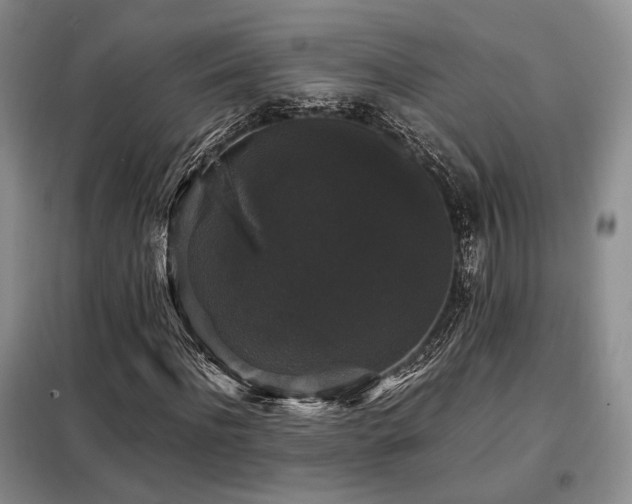 X0000099290916200805021228