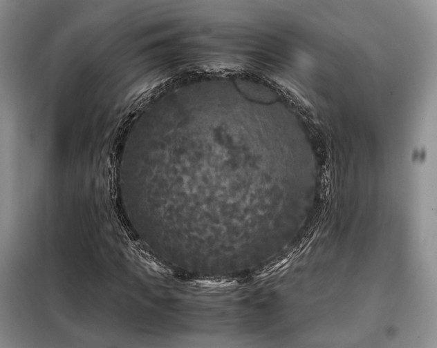 X0000099290917200805021228