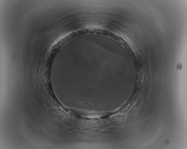 X0000099290919200805021228