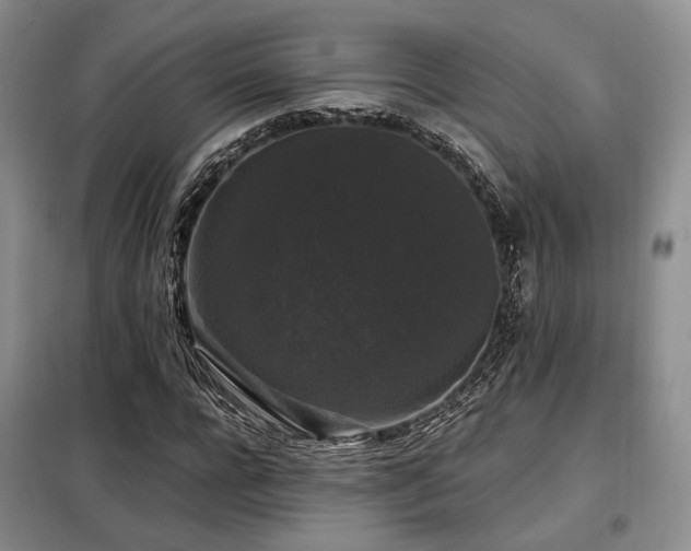 X0000099290920200805021228