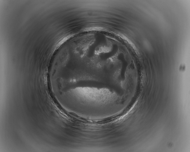 X0000099290921200805021228