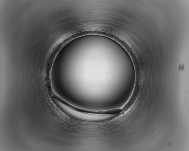 X0000099290922200805021228