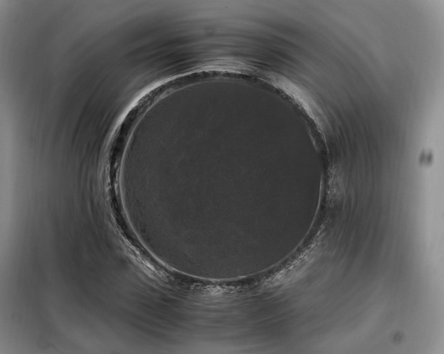 X0000099290923200805021228