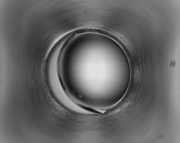 X0000099290926200805021228