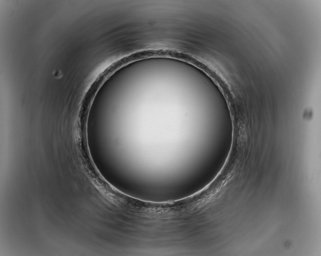 X0000099290927200805021228
