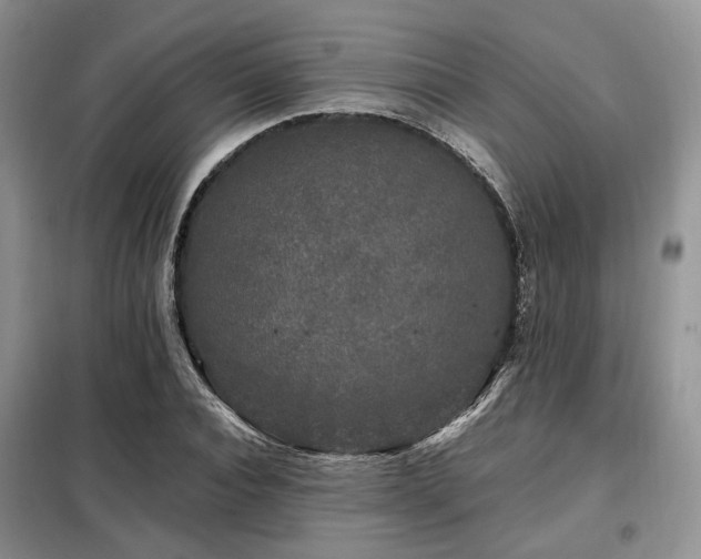 X0000099290928200805021228