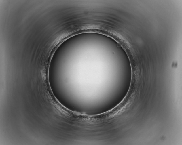 X0000099290929200805021228