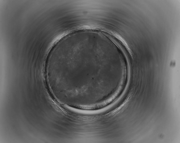 X0000099290930200805021228