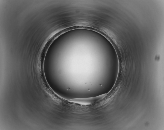 X0000099290931200805021228