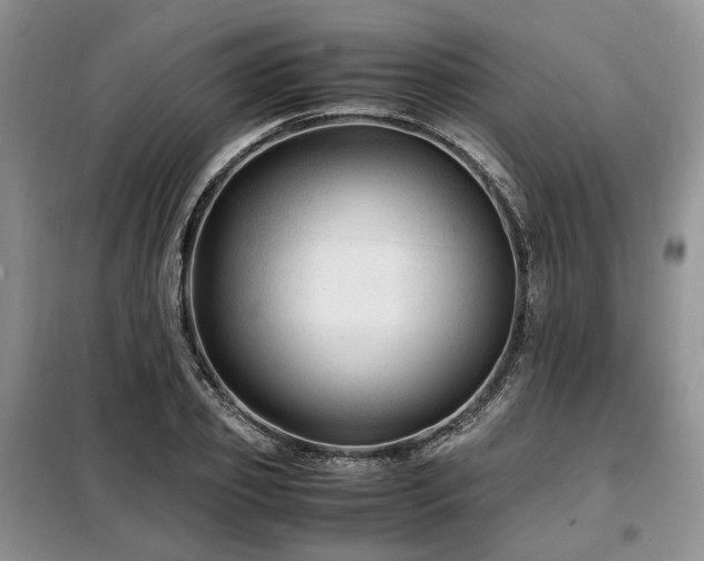 X0000099290933200805021228