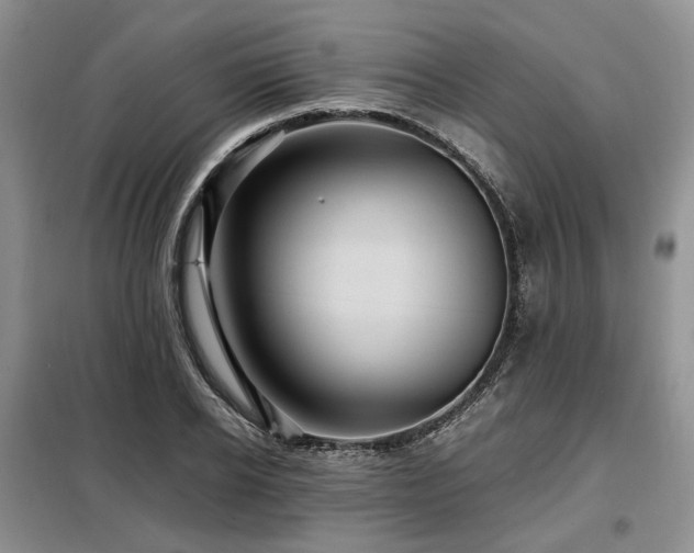 X0000099290934200805021228