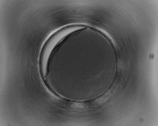 X0000099290935200805021228