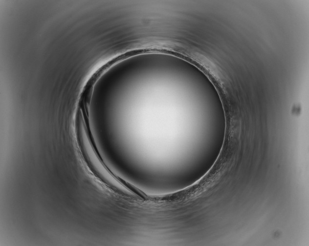 X0000099290936200805021228
