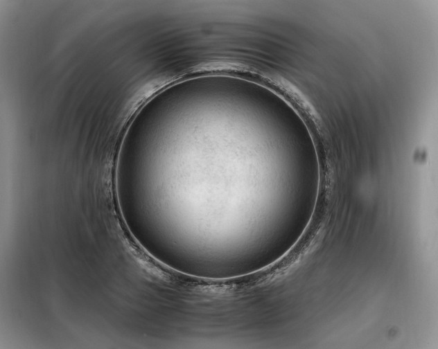 X0000099290937200805021228