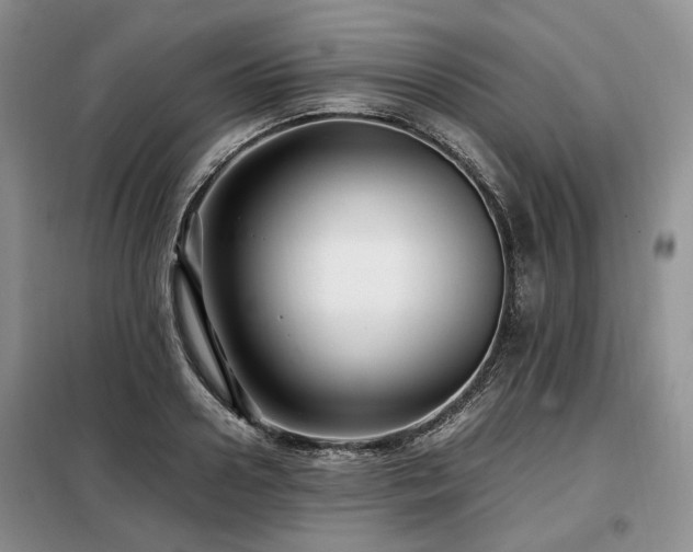 X0000099290938200805021228