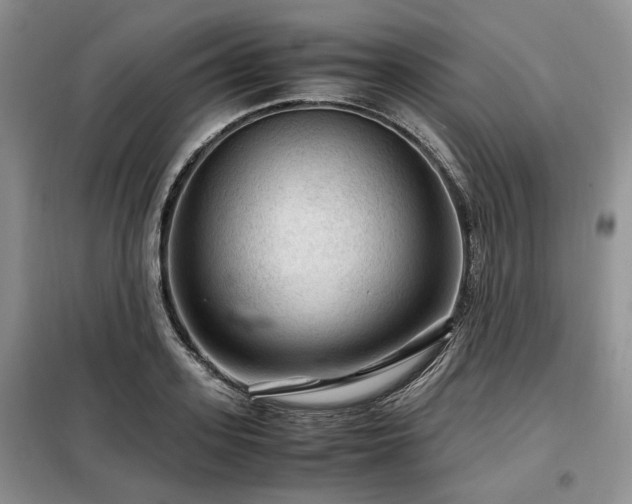 X0000099290939200805021228