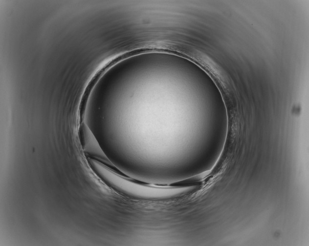 X0000099290940200805021228