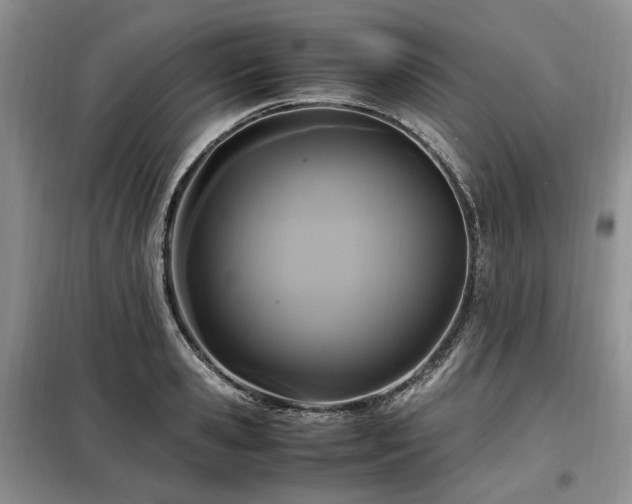 X0000099290941200805021228