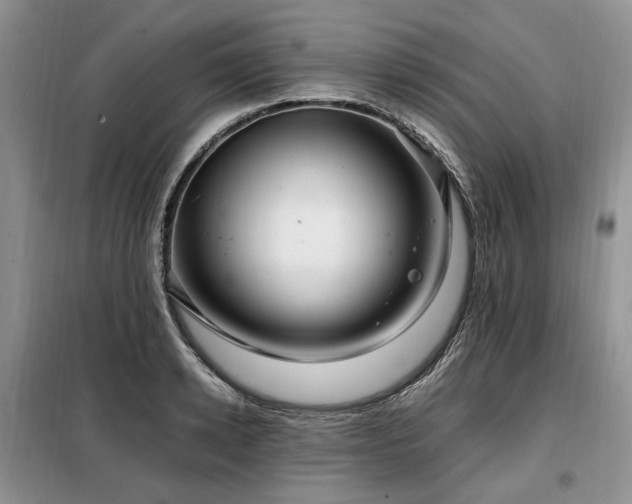 X0000099290942200805021228