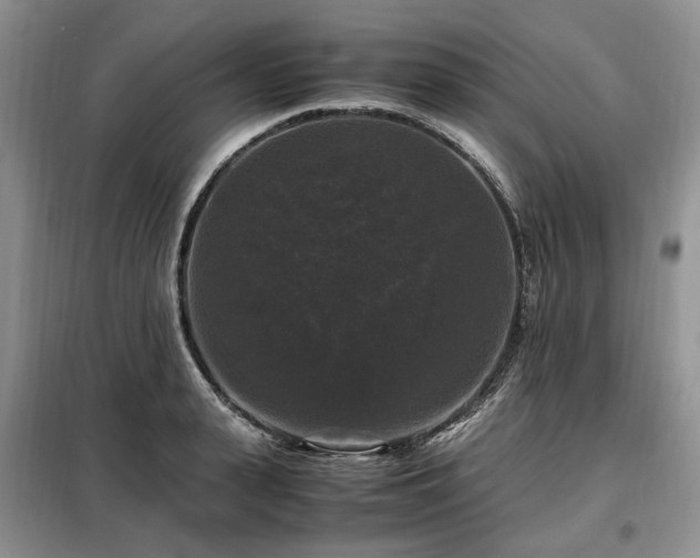 X0000099290943200805021228