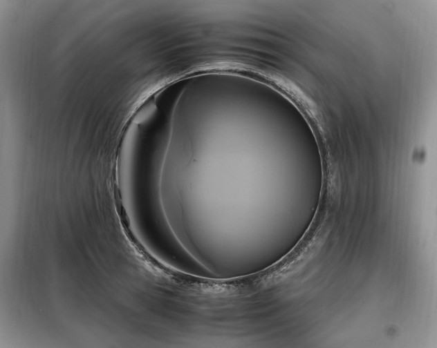 X0000099290945200805021228