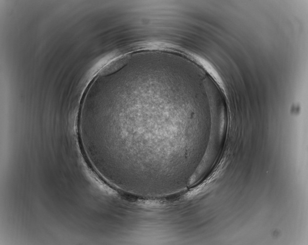 X0000099290946200805021228