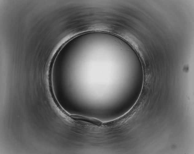 X0000099290947200805021228