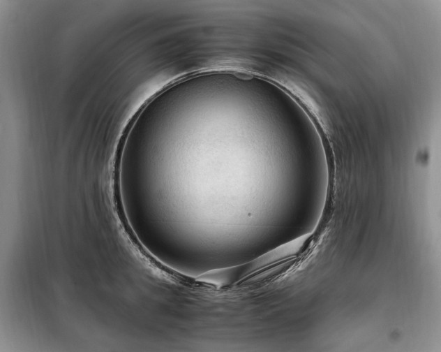 X0000099290949200805021228