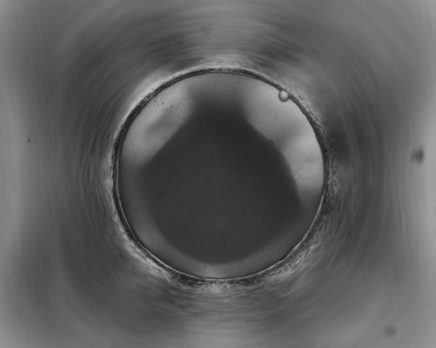 X0000099290950200805021228