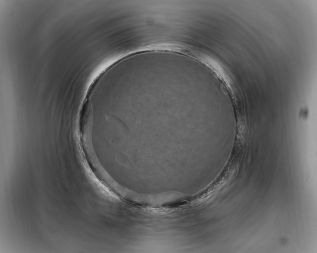 X0000099290952200805021228