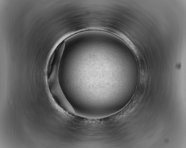 X0000099290955200805021229
