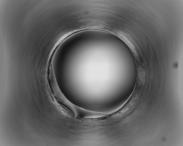 X0000099290956200805021229