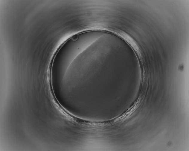 X0000099290958200805021229