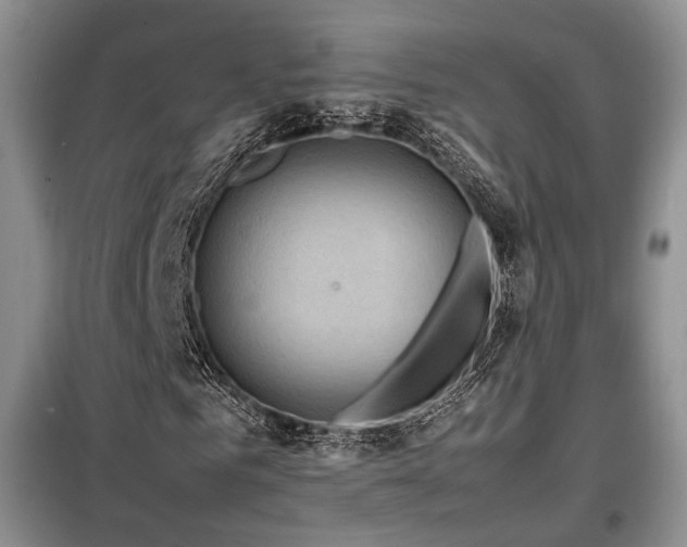 X0000099290961200805021228