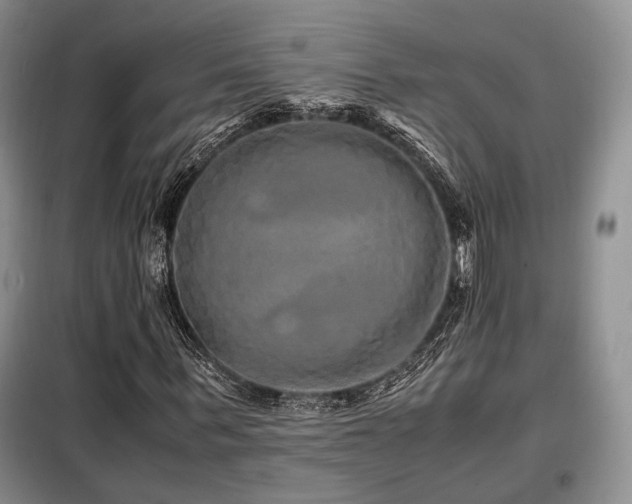X0000099290963200805021228