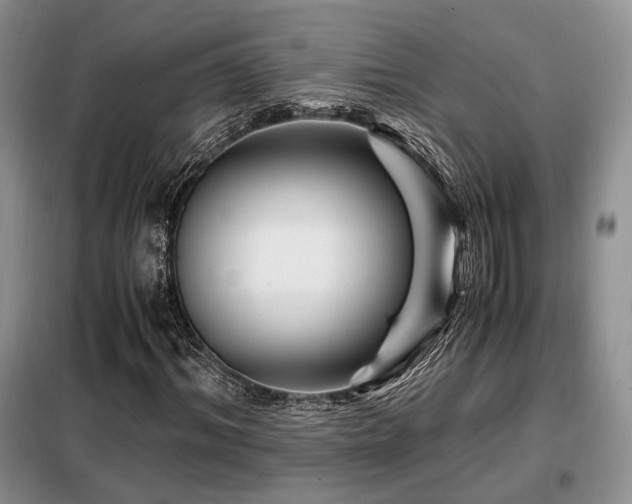 X0000099290964200805021228