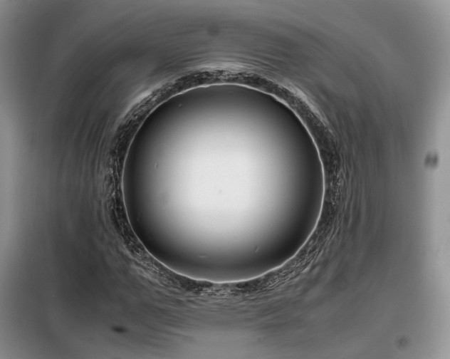 X0000099290967200805021228