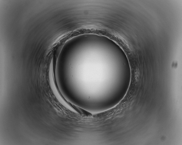 X0000099290968200805021228