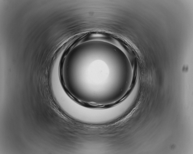 X0000099290969200805021228