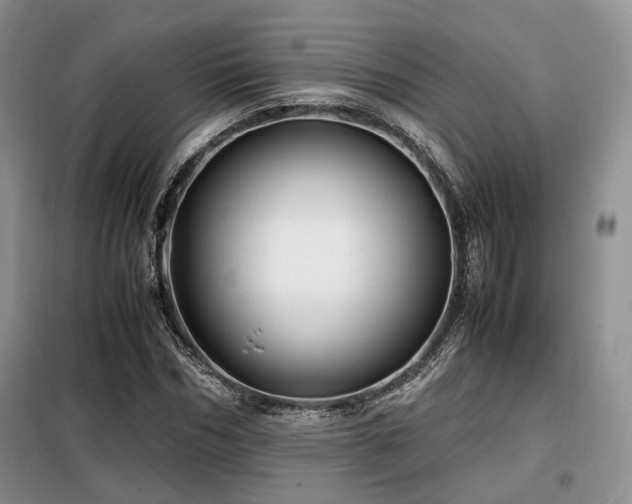 X0000099290970200805021228