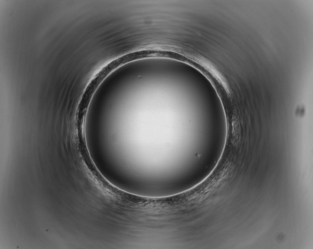 X0000099290972200805021228