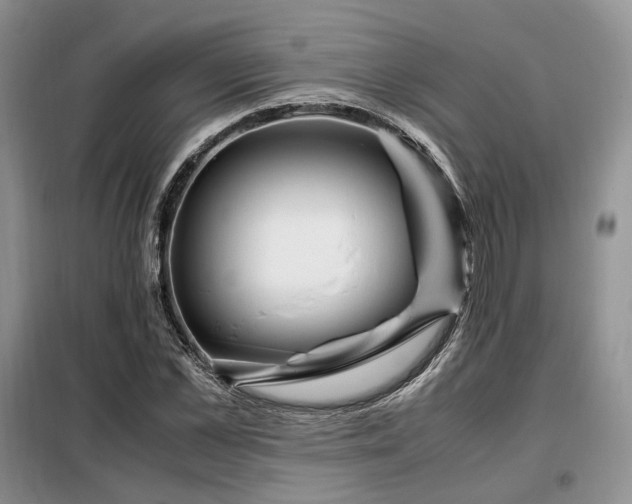 X0000099290973200805021228