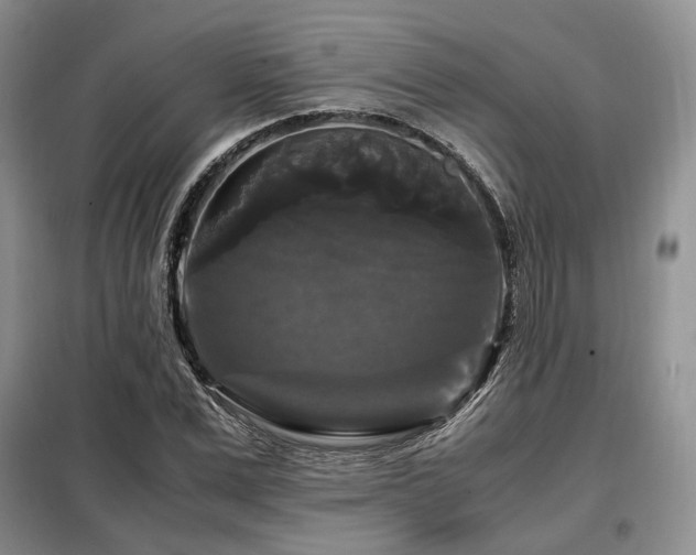 X0000099290975200805021228