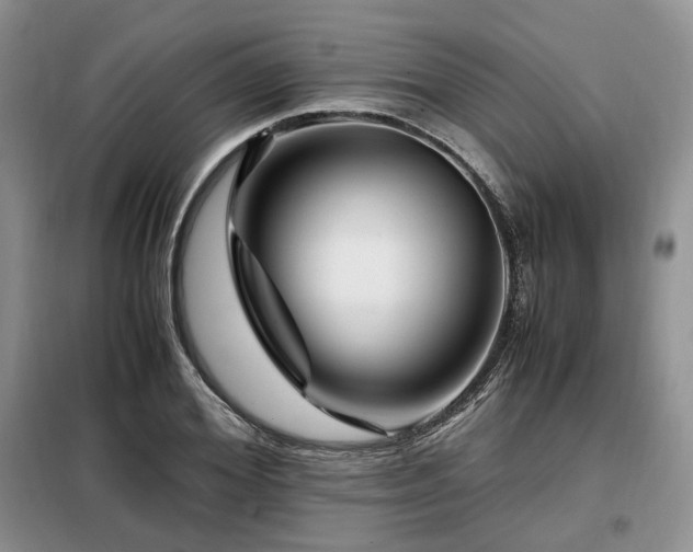 X0000099290980200805021228