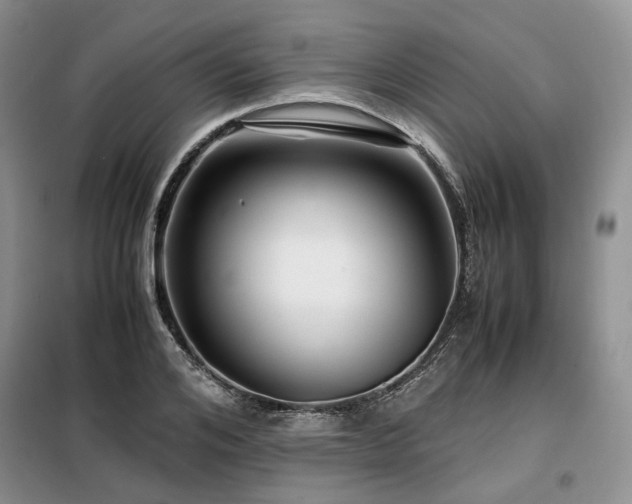 X0000099290984200805021228
