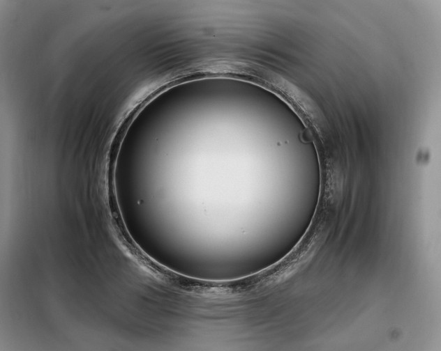 X0000099290986200805021228