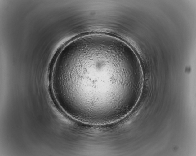 X0000099290987200805021228